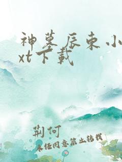 神墓辰东小说txt下载