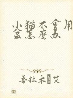 小猫不会用猫砂盆怎么办