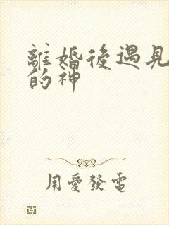 离婚后遇见心软的神