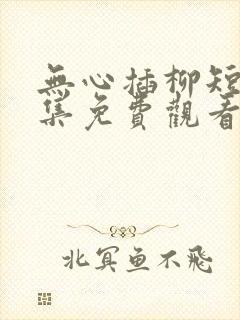 无心插柳短剧全集免费观看