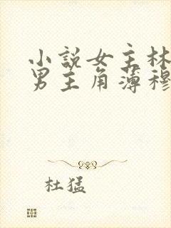 小说女主林恩恩男主角薄穆寒的小说