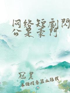 网络短剧闪婚老公是豪门