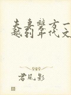 夫妻双方一起穿越到年代文的小说