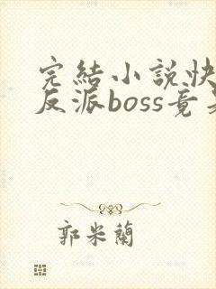 完结小说快穿:反派boss竟是我自己