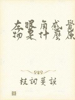 左眼角感觉有异物是什么原因