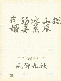 我的冰山总裁未婚妻叶辰