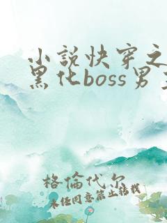 小说快穿之拯救黑化boss男主txt