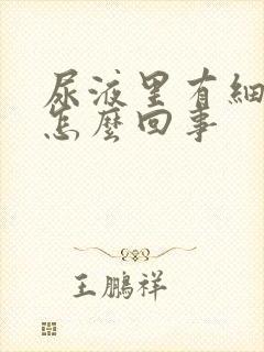 尿液里有细菌是怎么回事