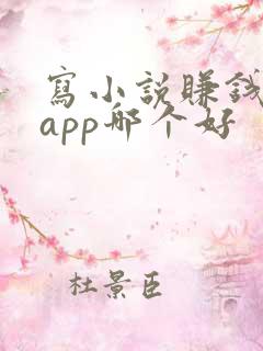 写小说赚钱软件app哪个好