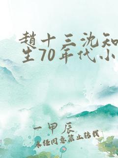 赵十三沈知霜重生70年代小说