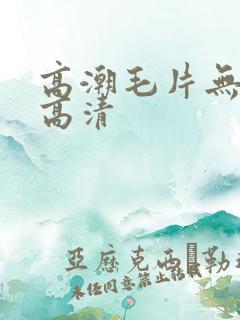 高潮毛片无遮挡高清