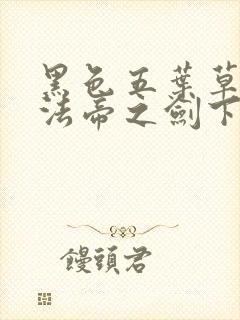 黑色五叶草之魔法帝之剑下载