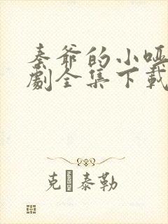 秦爷的小哑巴短剧全集下载