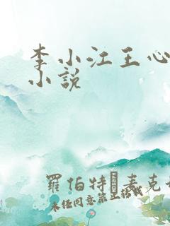 李小江王心怡,小说