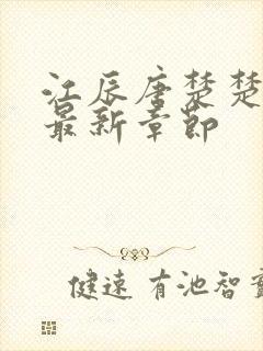 江辰唐楚楚全集最新章节