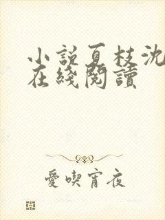 小说夏枝沈辞夜在线阅读