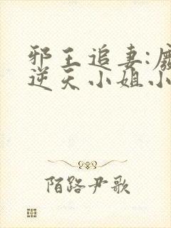 邪王追妻:废材逆天小姐小说正版