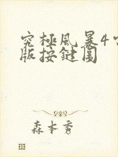 究极风暴4电脑版按键图