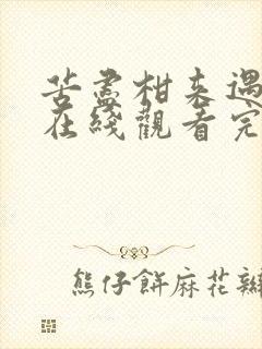 苦尽柑来遇见你在线观看完整免费