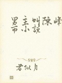 男主叫陈峰的都市小说