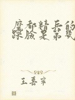 魔都精兵的奴隶踩脸是第几集