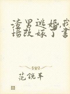 渣男逃婚,我当场改嫁了书籍