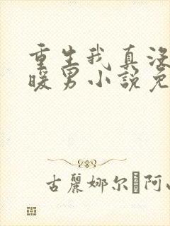 重生我真没想当暖男小说免费阅读