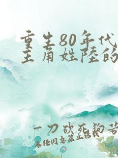 重生80年代的主角姓陆的小说