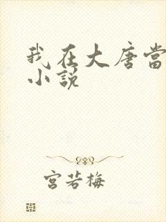 我在大唐当闲王小说