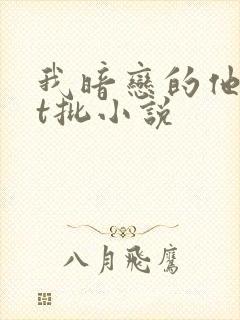 我暗恋的他总在t批小说