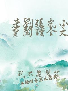 老刘张岚小说免费阅读全文最新章节