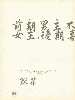 前期男主不喜欢女主,后期喜欢小说