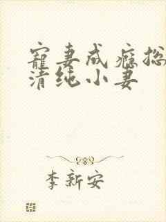 宠妻成瘾总裁的清纯小妻