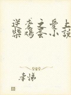 逆袭之爱上情敌柴鸡蛋小说无删减