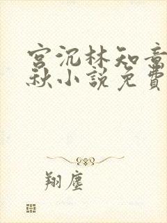 宫沉林知意宋宛秋小说免费阅读