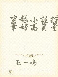 穿越小说推荐文笔好高质量完结