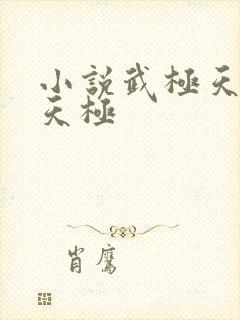 小说武极天尊陈天极