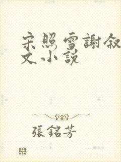 宋照雪谢叙言全文小说