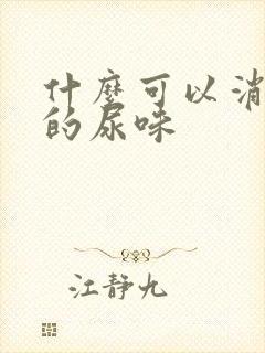 什么可以消除狗的尿味