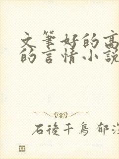 文笔好的高质量的言情小说推荐