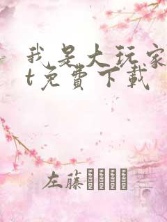 我是大玩家txt免费下载