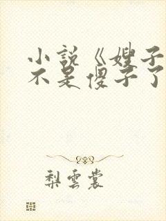 小说《嫂子我真不是傻子了叶凡》