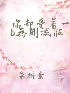 你却爱着一个sb无删减版