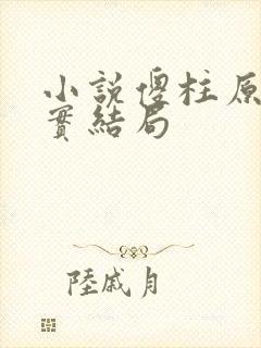 小说傻柱原著真实结局