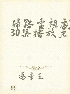 归路电视剧全集30集播放免费观看