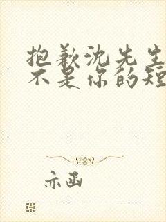 抱歉沈先生孩子不是你的短剧在线观看全集