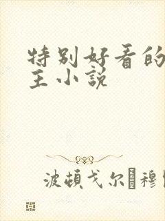 特别好看的双男主小说