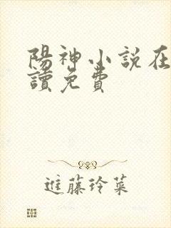 阳神小说在线阅读免费