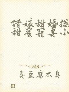 错嫁甜婚总裁的甜蜜宠妻小说