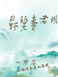 我的夫君权倾朝野免费